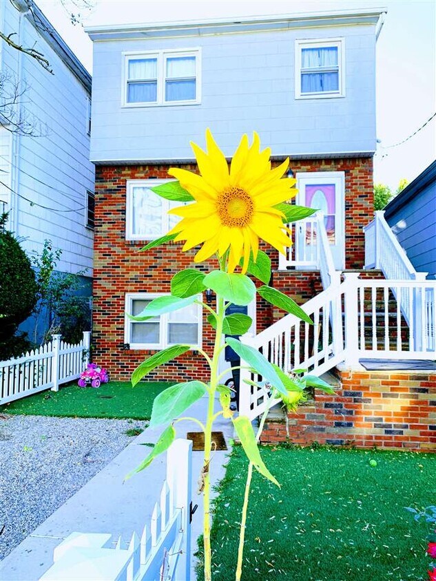 Primary Photo - 12 Waldo Ave