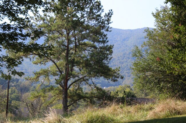Vistas a la montaña desde el patio - 133 Rockdale Ave