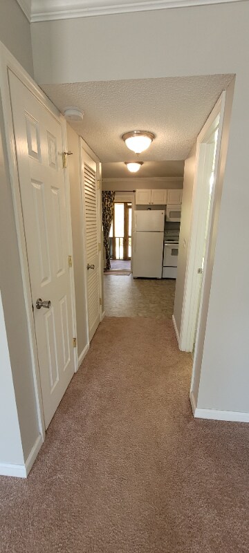 Building Photo - 1820 Mepkin Rd