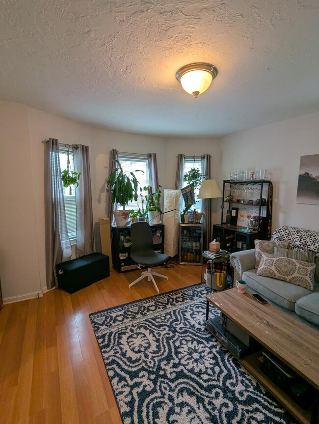 Living room - 36 Montfern Ave