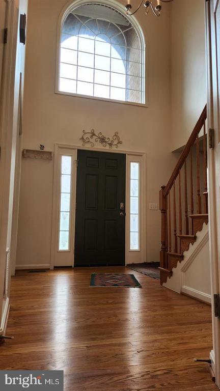 Building Photo - 4018 Tiber Falls Dr