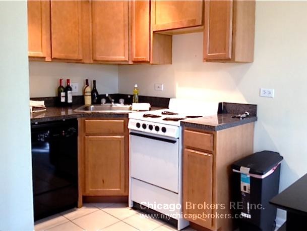 Building Photo - Amazing DePaul studio - No deposit !!!