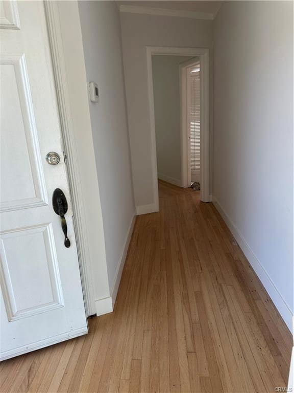 Building Photo - 10572 Lauriston Ave
