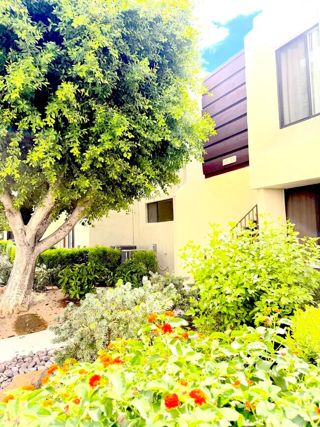 Foto del edificio - 1655 E Palm Canyon Dr