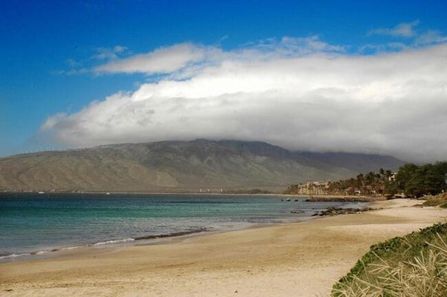 Building Photo - Kihei Villages Upper-Level Front Row Ocean...