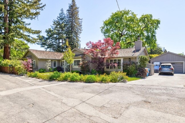 Building Photo - 1003 Olive St