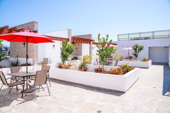 Foto del edificio - The Luxe Residential