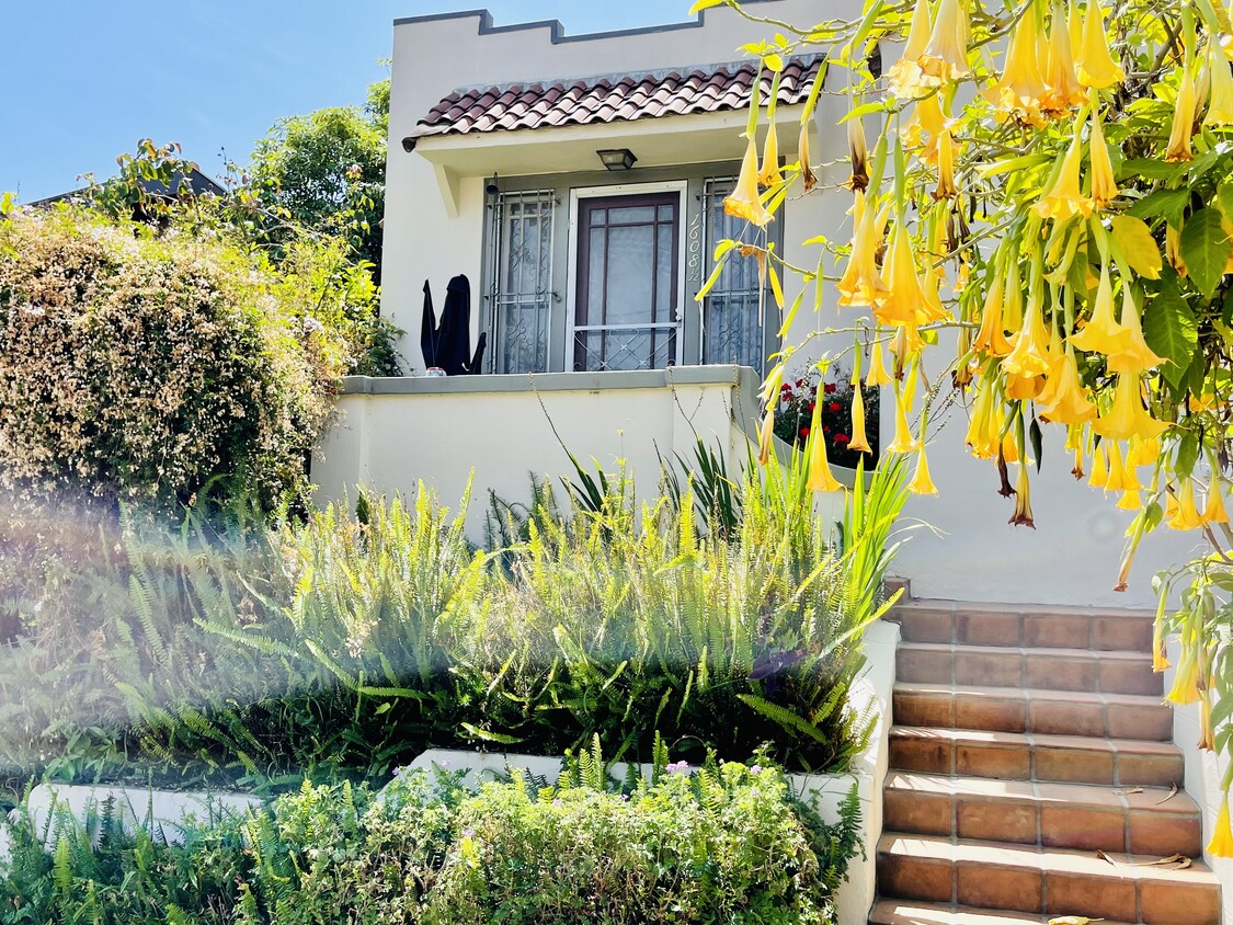 Foto principal - 1608 Cerro Gordo St