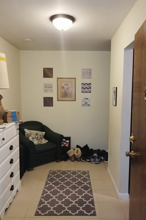 433 S Lombard Ave, Oak Park, IL 60302 Condo for Rent in Oak Park, IL