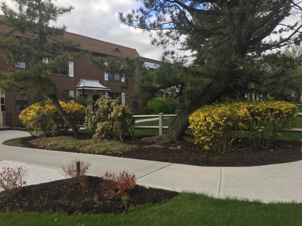 Primary Photo - 70-67 Park Dr E