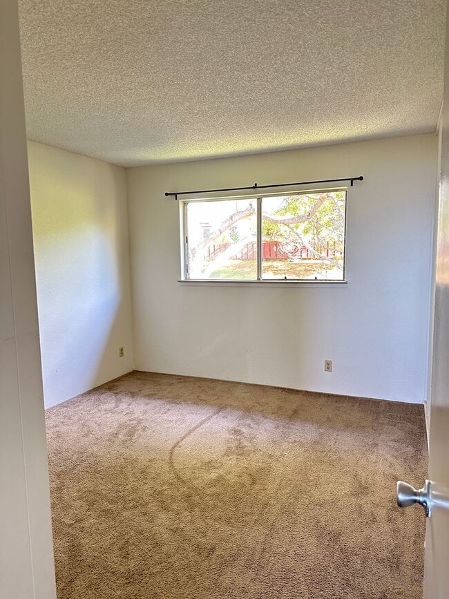 Building Photo - Completely renovated cool & breezy upper M...