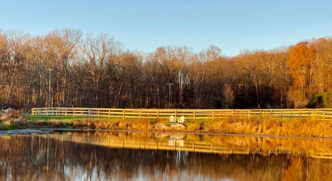 Foto del edificio - 266 Maple Tree Hill Rd