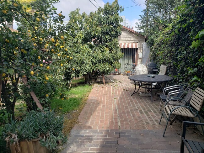 Back yard patio - 1429 Kellam Ave