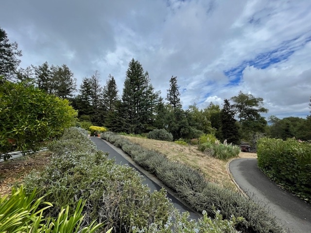View from Front Porch - 1485 Timberhill Rd