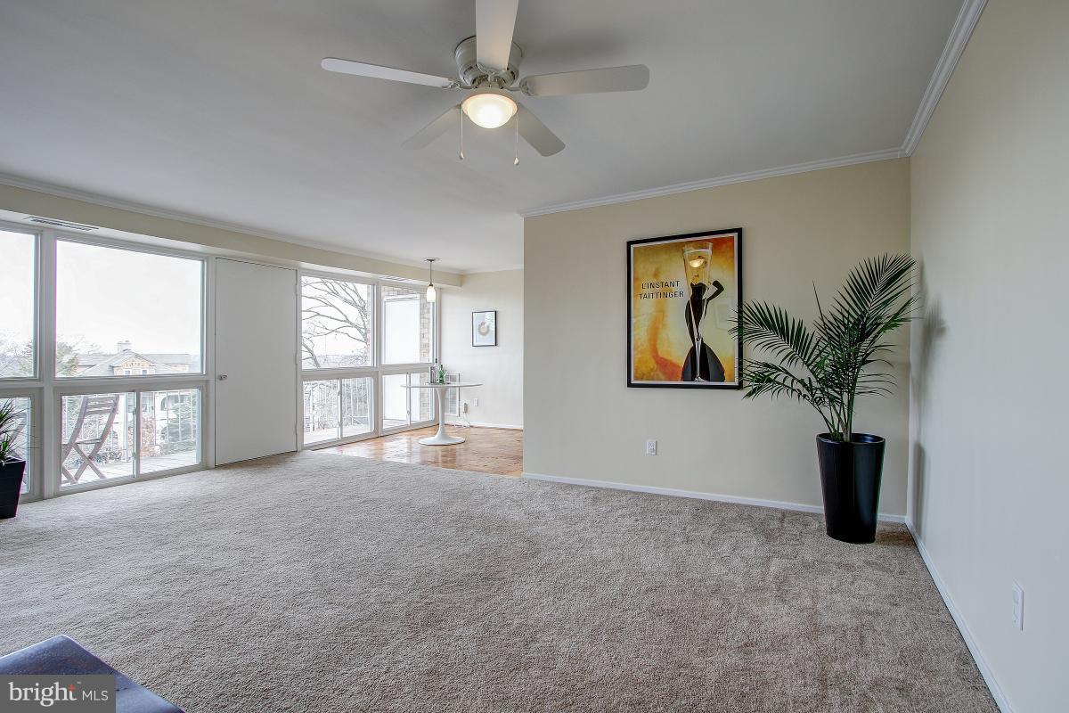 22 Manor Cir Unit 202, Takoma Park, MD 20912 Condo for Rent in Takoma