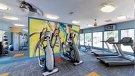The fitness center at The Enclave At Huntington Woods is a single-floor space designed to support an active lifestyle. The room is immediately eye-catching thanks to a large, vibrant wall mural depicting a cyclist in motion, rendered in bold yellows, blues, and greens. This energetic artwork sets an motivating tone for the space.

The facility is equipped with a range of cardio machines, including ellipticals, a stationary spin bike, and a treadmill, all arranged to allow comfortable use without overcrowding. The flooring features a multi-toned carpet with colorful accent sections, adding visual interest while providing a practical surface underfoot.

Overhead, flush-mount and ceiling fan light fixtures provide consistent, even illumination throughout the room. Large windows along one wall allow ample natural light to filter in, offering views of what appears to be an outdoor pool or patio area, enhancing the open and airy feel of the space.

The ceiling is smooth and well-maintained, with ventilation integrated discreetly. Overall, the fitness center presents a clean, functional, and visually stimulating environment well-suited for daily workouts.
