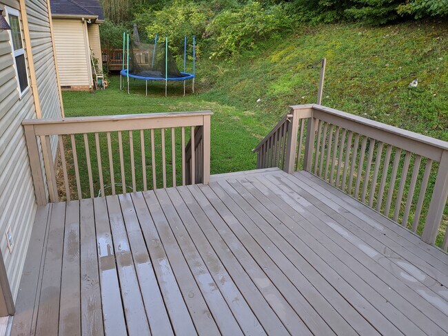 Deck and backyard - 419 Brownstone St