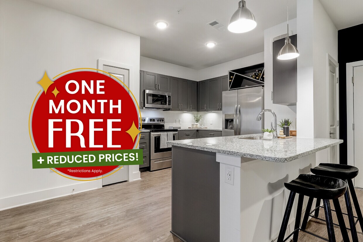 Linz Holly Springs Apartments in Canton, GA