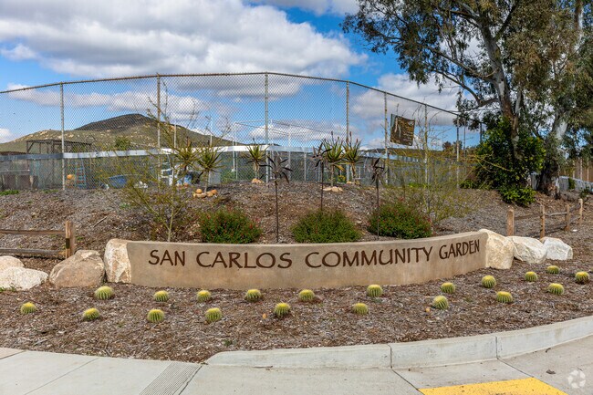 San Carlos Community Garden with various plants growing to witness.