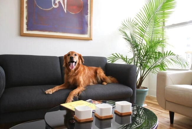 Interior Photo - Artisan Hill