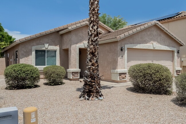 Building Photo - 2436 E Olivine Rd