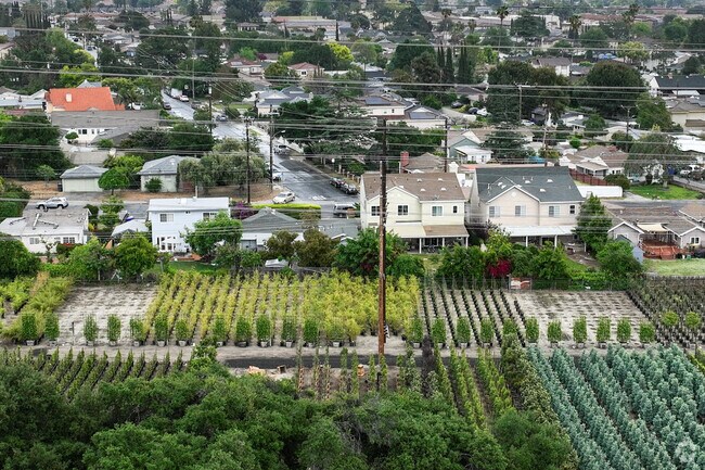 Ranch-style homes back up to this tree nursery in San Gabriel.
