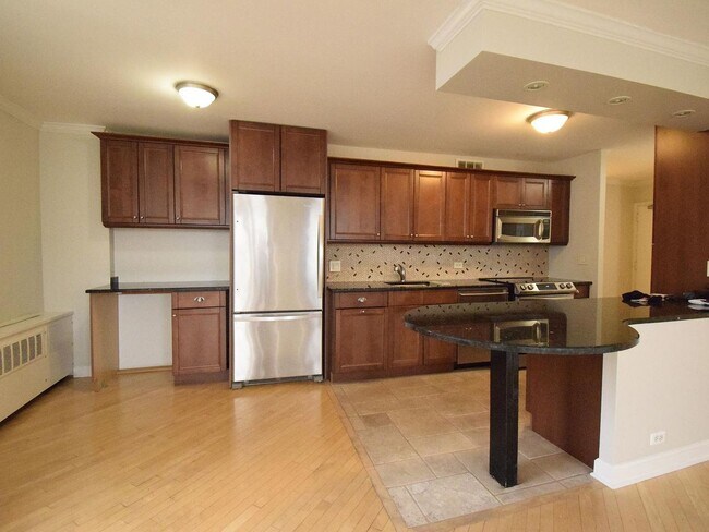 Foto del edificio - 1360 N Sandburg Terrace