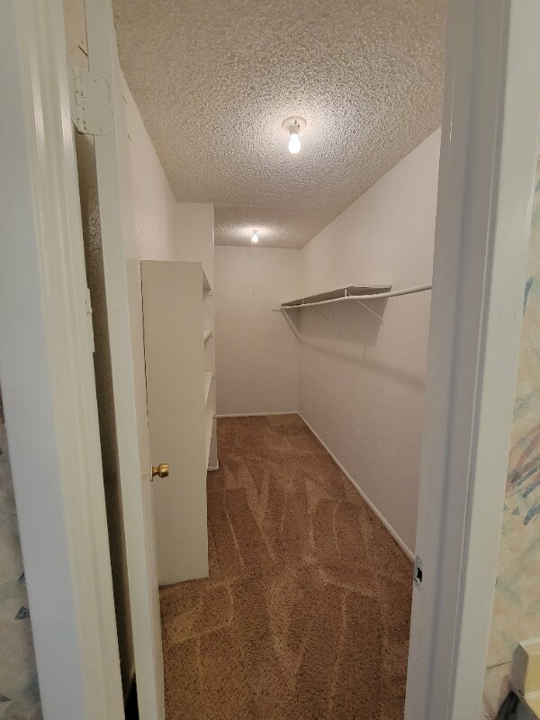Foto del edificio - 203 Sprucewood Ln