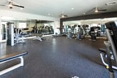 This single-level fitness center is thoughtfully designed to support a comprehensive workout experience. The space is generously sized, providing ample room to accommodate a varied selection of exercise equipment without feeling crowded. Durable rubber flooring covers the entire area, offering both safety and comfort underfoot during workouts.

The cardio section is well-stocked with multiple treadmills, elliptical machines, and stationary bikes, while the strength training area features a range of cable machines, weight benches, and free weights, including dumbbells on a dedicated rack. Large floor-to-ceiling mirrors are installed along multiple walls, visually expanding the space and allowing users to monitor their form during exercise.

Natural light enters through several windows positioned along the perimeter walls, with views of the surrounding outdoor environment, creating a bright and energizing atmosphere. Recessed ceiling lights and ceiling fans provide additional illumination and air circulation throughout the room. The neutral color palette — light gray walls paired with darker accent walls — lends the space a clean, modern aesthetic. A centrally located entry door provides convenient access, making this fitness center a practical and well-appointed facility.