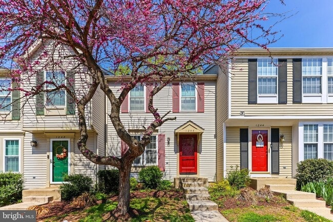 Building Photo - 1246 Seminole Dr