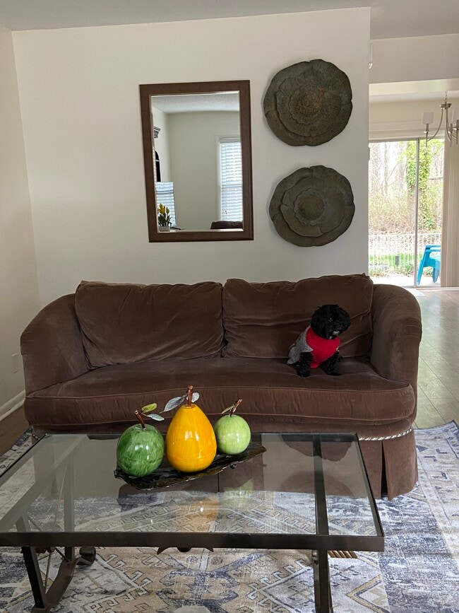 Living rm - 504 Briar Creek Mnr