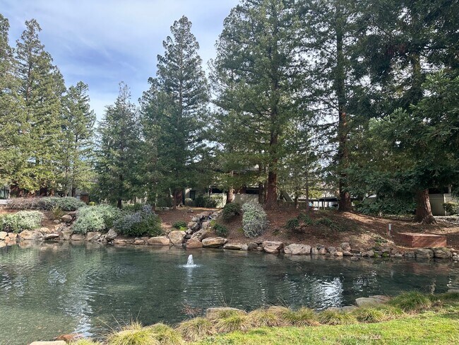 Foto del edificio - One Bedroom in a Great Community, Excellent Location, with a Pool!