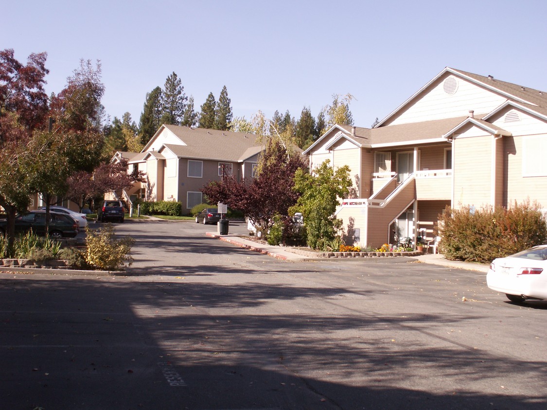 Primary Photo - Olympia Garden Apartments