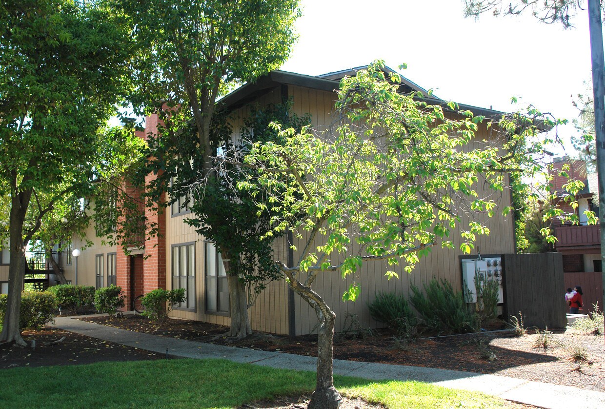 Foto del edificio - 313 Camelback Rd