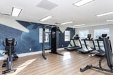 Located in Millcreek, Utah, this fitness center is a thoughtfully designed exercise space that offers a comprehensive range of equipment and an inviting atmosphere for a full-body workout. The space is divided into two connected areas, unified by warm wood-tone luxury vinyl flooring and bright flush-mount panel lighting overhead.

The main area is anchored by a row of modern treadmills positioned in front of large windows that allow ample natural light to fill the room. Floor-to-ceiling mirrors along one wall visually expand the space and provide functional feedback during workouts. A bold navy blue accent wall with textured finish adds a striking visual element, complemented by a large abstract mural that lends an energetic ambiance to the room. A well-stocked freestanding rack holds an assortment of kettlebells, medicine balls, and dumbbells, while a TRX suspension training rig offers versatile functional fitness options. A water fountain station is conveniently accessible near the center of the space.

An adjoining room, accessible through a glass-panel door, provides additional workout space featuring a stair climber, a cable/weight machine, and an adjustable workout bench, offering a quieter area for strength training. The clean white walls and continued wood flooring maintain a cohesive aesthetic throughout. Together, both areas deliver a well-rounded fitness facility suited for cardio, strength, and functional training.