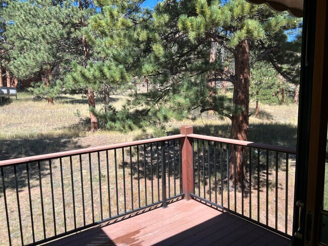 View from private balcony - 1155 S St Vrain Ave