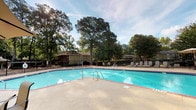 This outdoor community amenity space at The Corners offers residents a well-rounded recreational environment set amid mature, towering trees and manicured green grounds. At the heart of the area is a generously sized swimming pool with crystal-clear blue water, surrounded by a spacious concrete deck furnished with lounge chairs — ideal for relaxing on sunny days. The pool area is enclosed by black iron fencing and is framed by lush tree canopies that provide natural shade and a serene atmosphere.

Adjacent to the pool is the designated Grill Park, a reserved outdoor space for residents to gather, cook, and enjoy the outdoors. The park features open green lawn, picnic seating, and grilling stations, all set against a backdrop of wooded scenery and the community's multi-story residential buildings.

A Bark Park is also part of the amenity grounds, offering a dedicated fenced area for pet owners and their dogs. Concrete walkways and stepped pathways connect the various areas of the community, flanked by stone retaining walls, lush shrubbery including magnolias, and well-kept landscaping throughout. The buildings visible across the grounds feature covered balconies and a neutral exterior palette, contributing to the cohesive, welcoming character of this community outdoor space.
