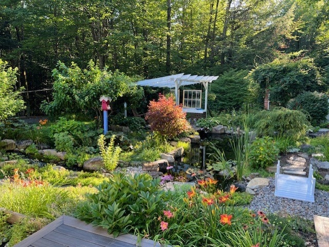Backyard - 180 Alpine Meadows Rd