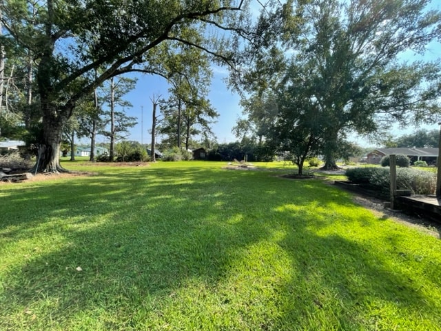 Foto del edificio - 133 Dalton Ln