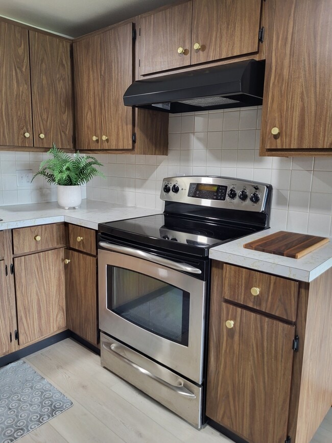 Updated range with overhead hood - 941 Buena Vista Dr