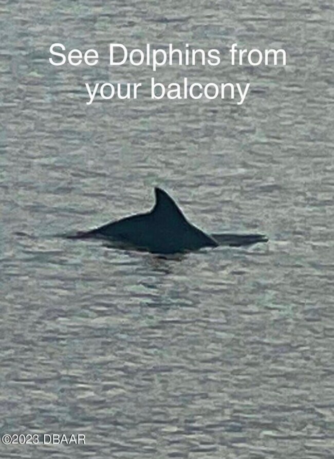 Photo - 2711 N Halifax Ave Apartment