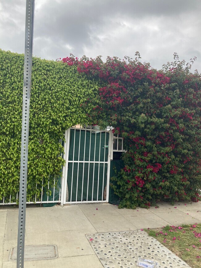 Frente - 3771 S Catalina St