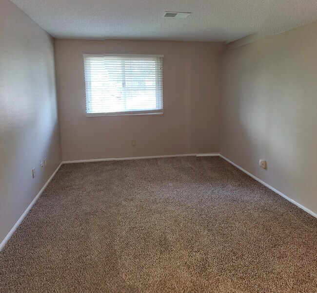 Master bedroom. New paint and carpet! - 331 Sundance Cir N