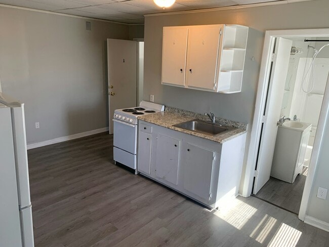 Photo - 195 N Martin Luther King Blvd Apartment