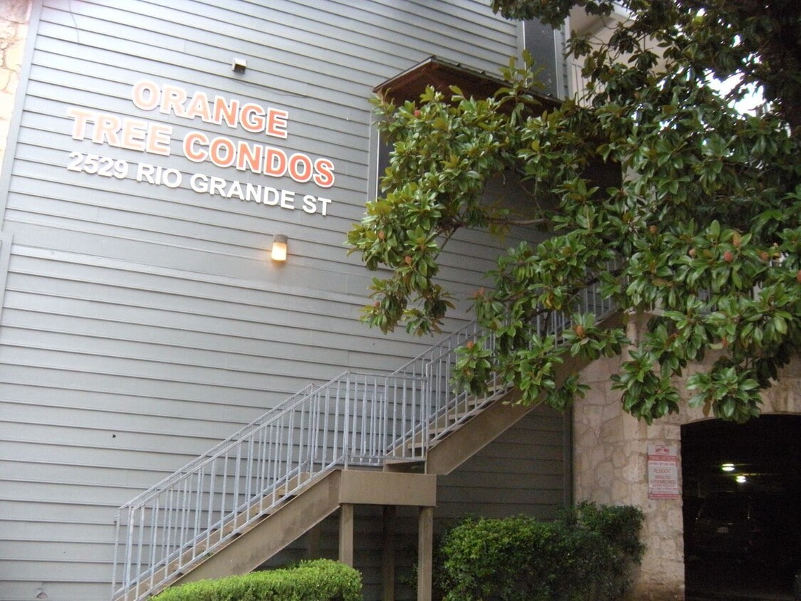 Primary Photo - ORANGE TREE - WEST CAMPUS - AUGUST 2026 MOVE IN