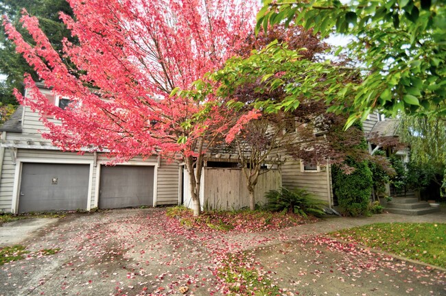 Foto del edificio - Charming 1-Bedroom Unit in Eastside Olympia