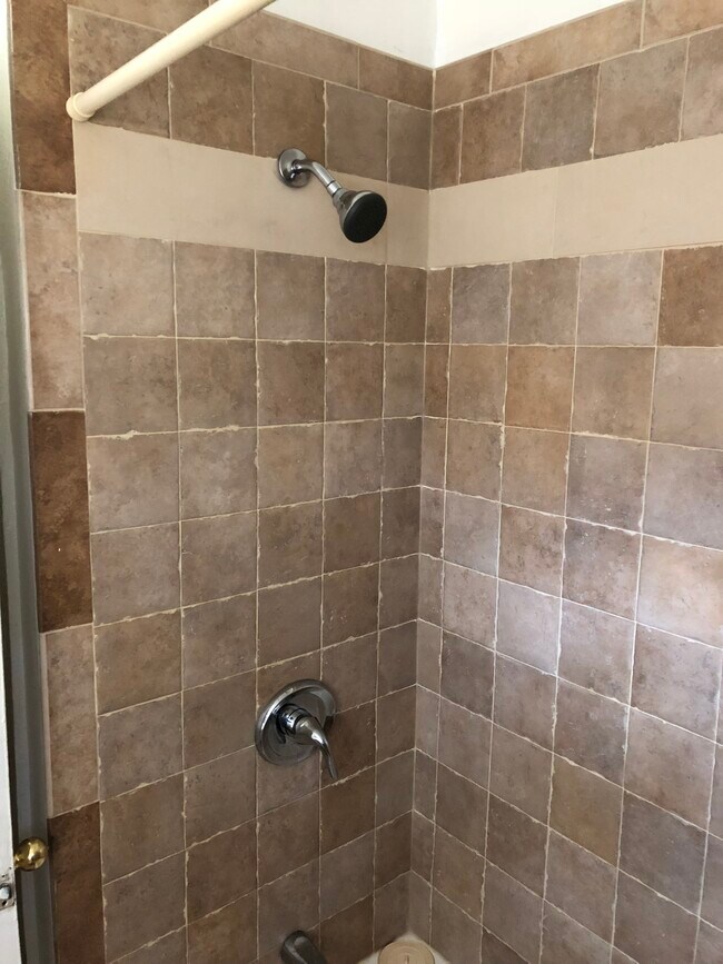 New shower and bathroom - 1428 Lorenzo Dr SW