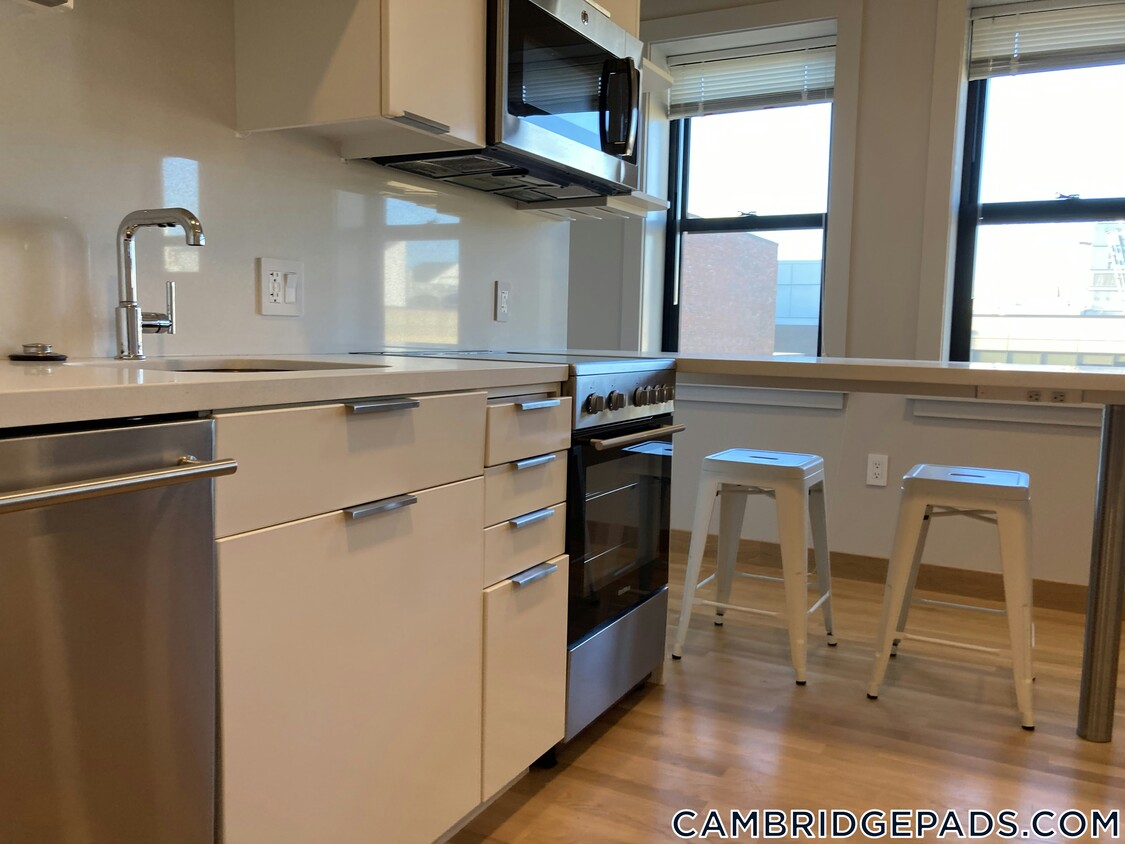 Foto principal - 115 Mt Auburn St