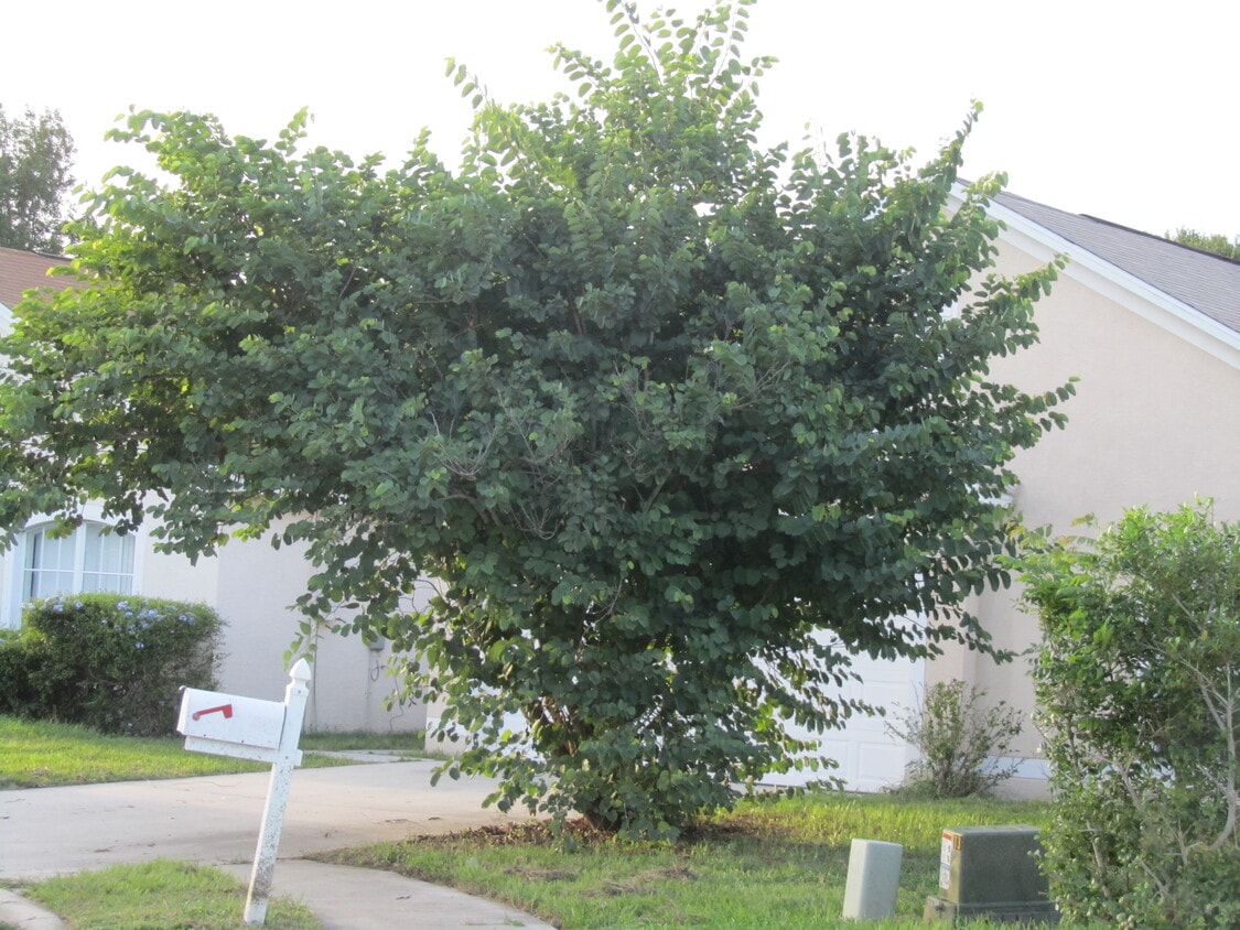Primary Photo - 5868 22nd St