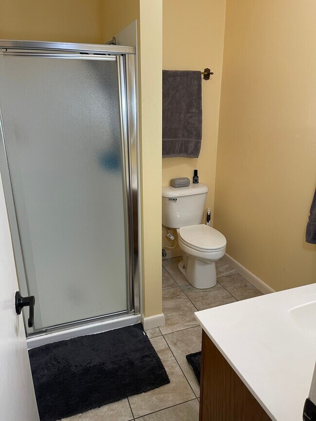 Bathroom with luxury shower head and antique brass fixtures - 6905 SW Regional Airport Blvd
